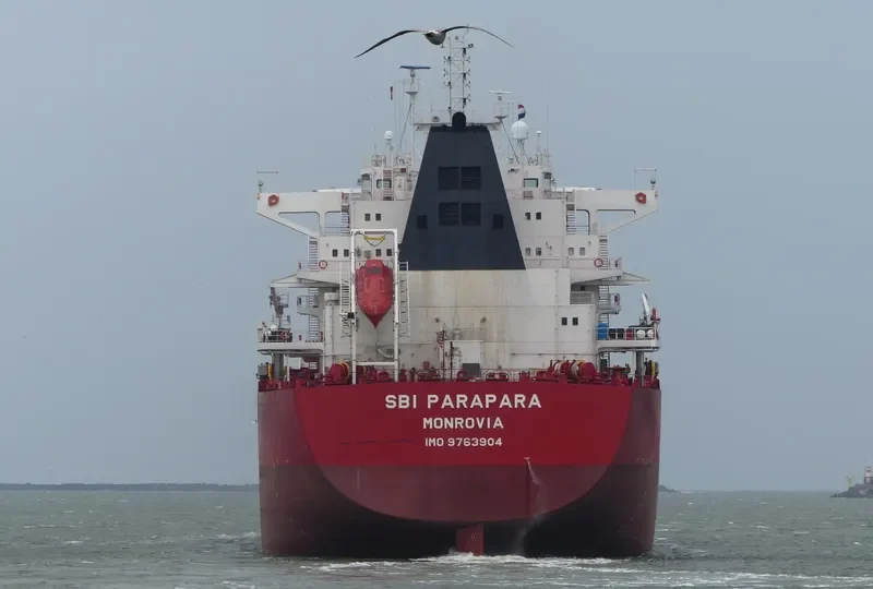 WADI ALMALEKAT General Cargo IMO 9763904 photo 8