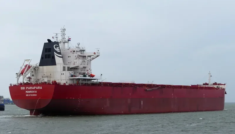 WADI ALMALEKAT General Cargo IMO 9763904 photo 9