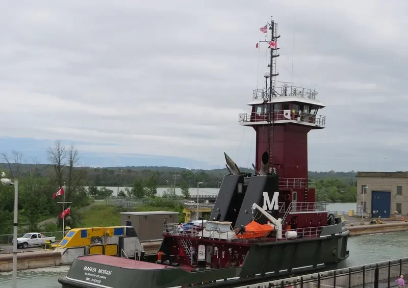 MARIYA MORAN General Cargo IMO 9764128 photo 8