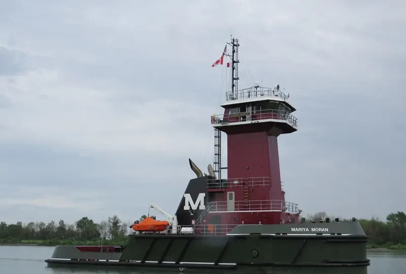 MARIYA MORAN General Cargo IMO 9764128 photo 10