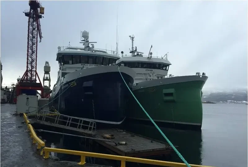 RONJA CHALLENGER General Cargo IMO 9765067 photo 8