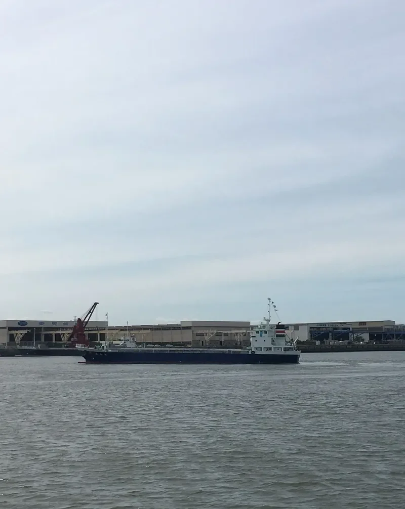 KOUSYUN MARU General Cargo IMO 9765433 photo 2