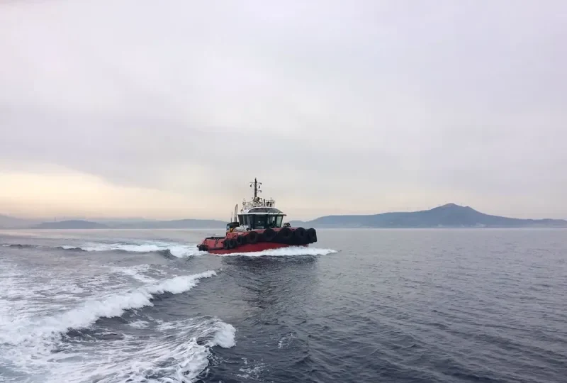 YENICAY II General Cargo IMO 9765495