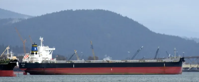 RB JAKE Bulk Carrier IMO 9765706