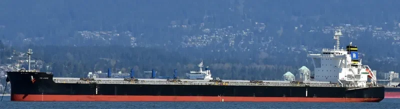 RB JAKE Bulk Carrier IMO 9765706 photo 5