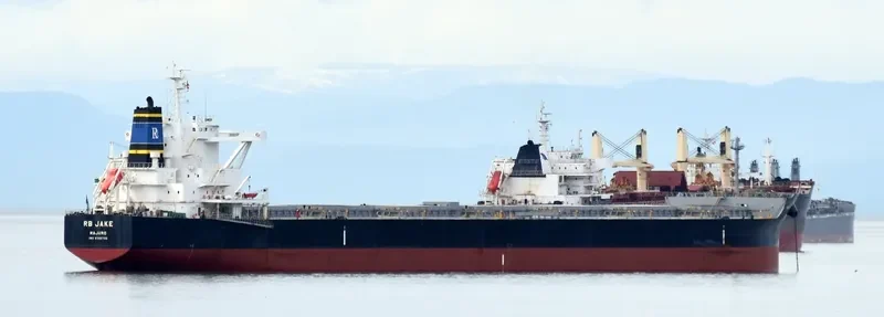 RB JAKE Bulk Carrier IMO 9765706 photo 6