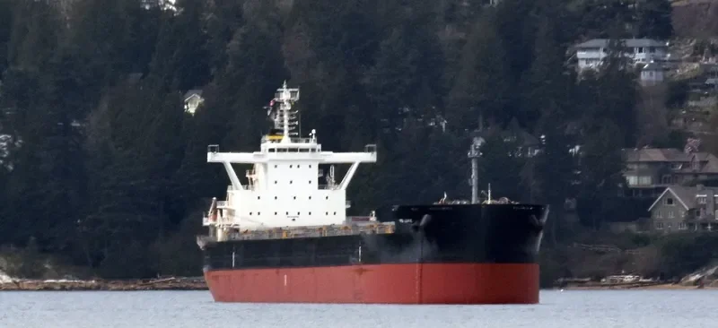 RB JAKE Bulk Carrier IMO 9765706 photo 7