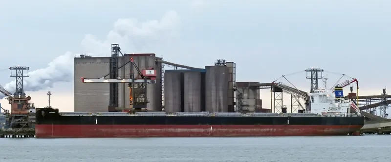 RB EDEN Bulk Carrier IMO 9765718