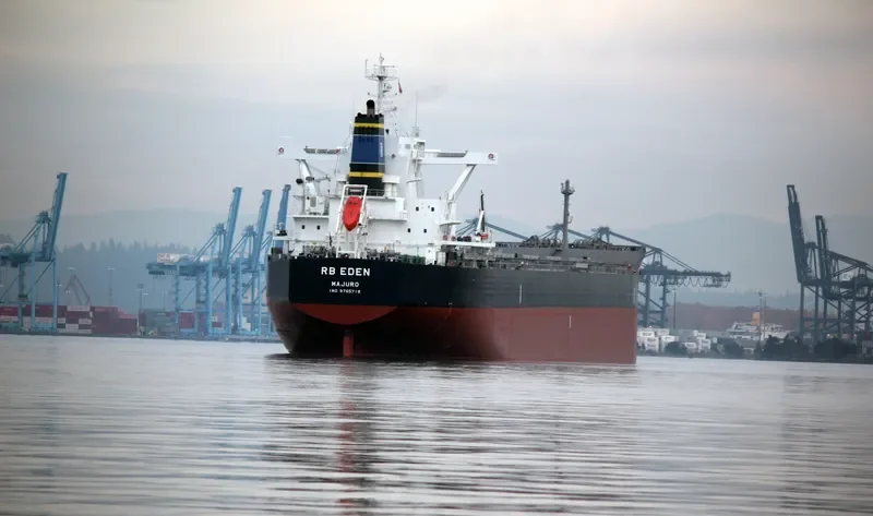 RB EDEN Bulk Carrier IMO 9765718 photo 3