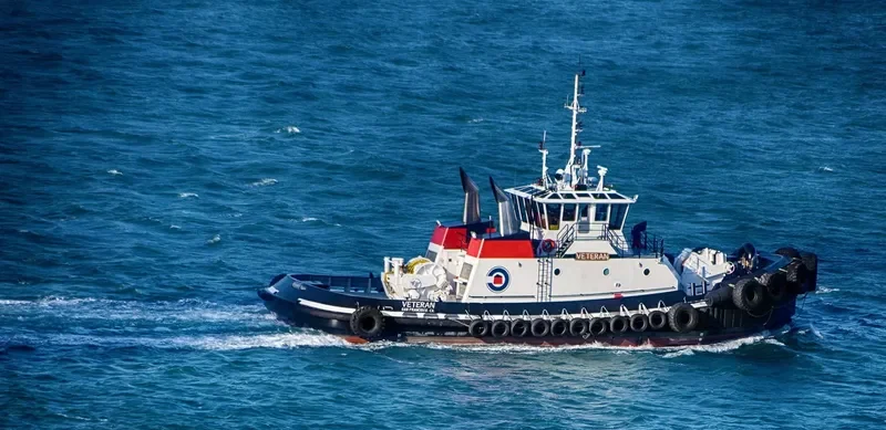 VETERAN General Cargo IMO 9765720