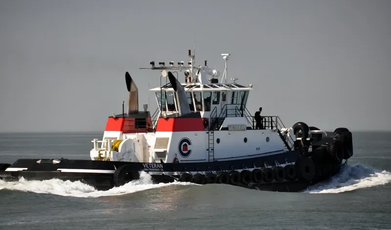 VETERAN General Cargo IMO 9765720 photo 3