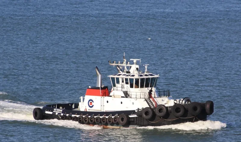 VETERAN General Cargo IMO 9765720 photo 4