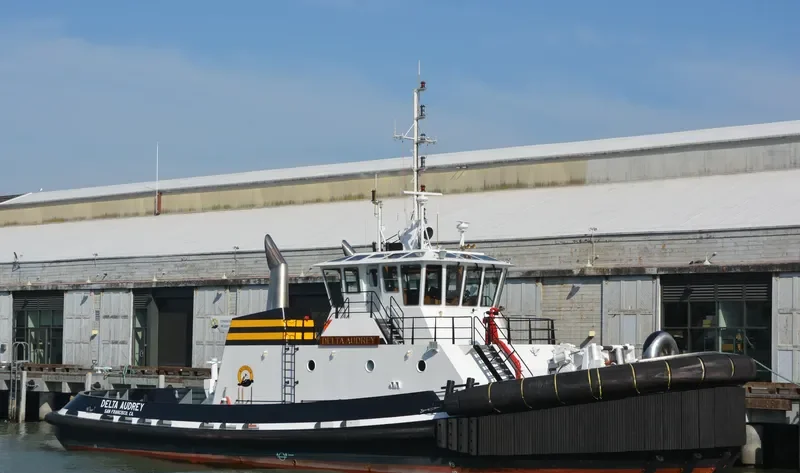 VETERAN General Cargo IMO 9765720 photo 5