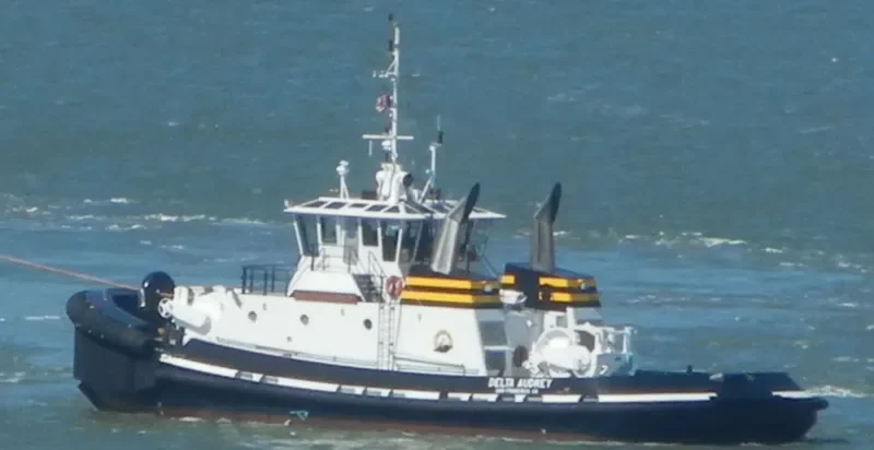 VETERAN General Cargo IMO 9765720 photo 7