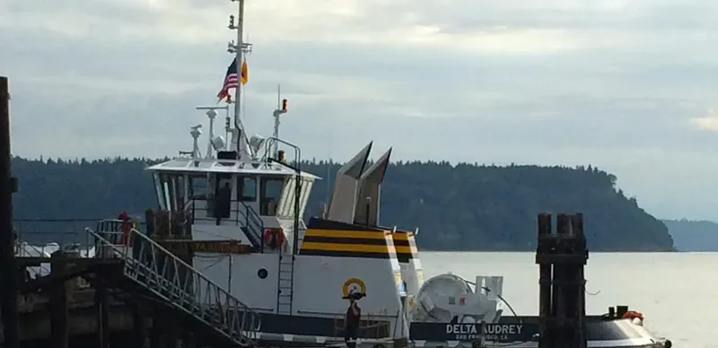 VETERAN General Cargo IMO 9765720 photo 8