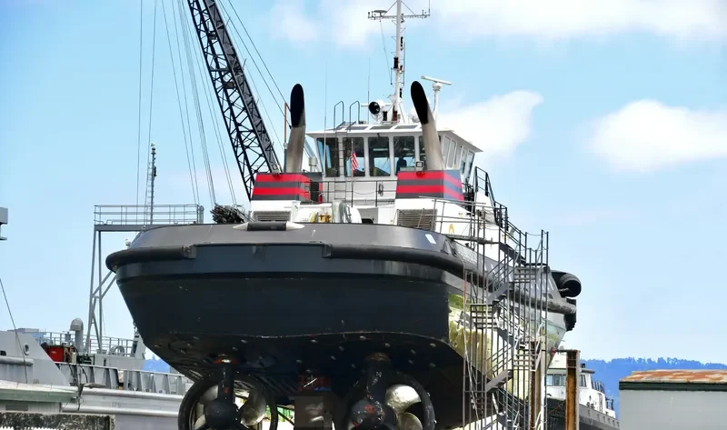VETERAN General Cargo IMO 9765720 photo 9