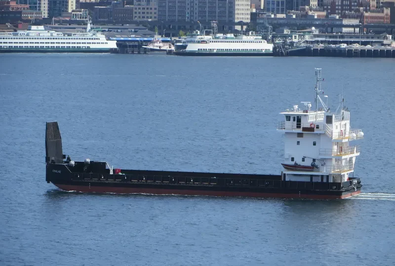 UNALAQ General Cargo IMO 9765732 photo 4