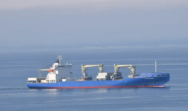 STAR COURAGE General Cargo IMO 9765859 photo 6