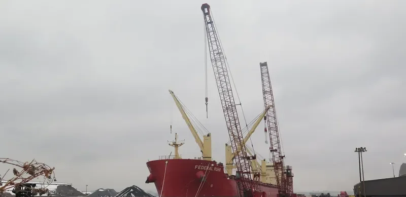 FEDERAL RUHR Bulk Carrier IMO 9766176 photo 2