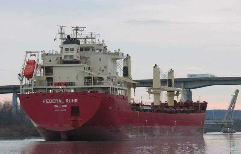 FEDERAL RUHR Bulk Carrier IMO 9766176 photo 3