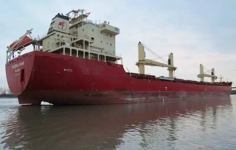 FEDERAL RUHR Bulk Carrier IMO 9766176 photo 4