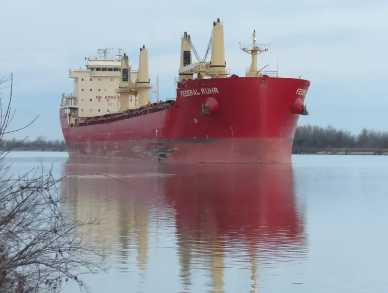 FEDERAL RUHR Bulk Carrier IMO 9766176 photo 6