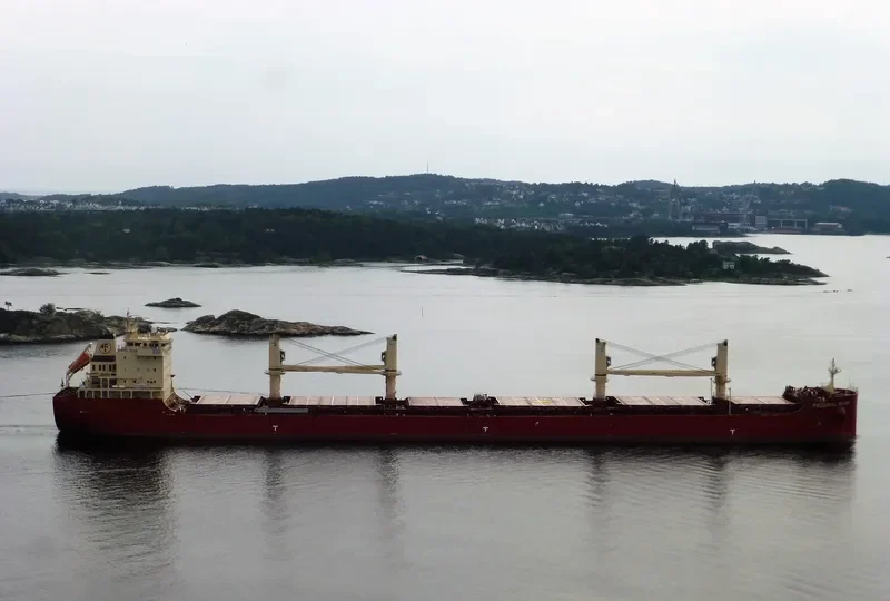 FEDERAL RUHR Bulk Carrier IMO 9766176 photo 9