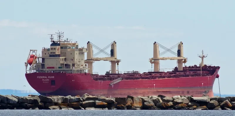 FEDERAL RUHR Bulk Carrier IMO 9766176 photo 10