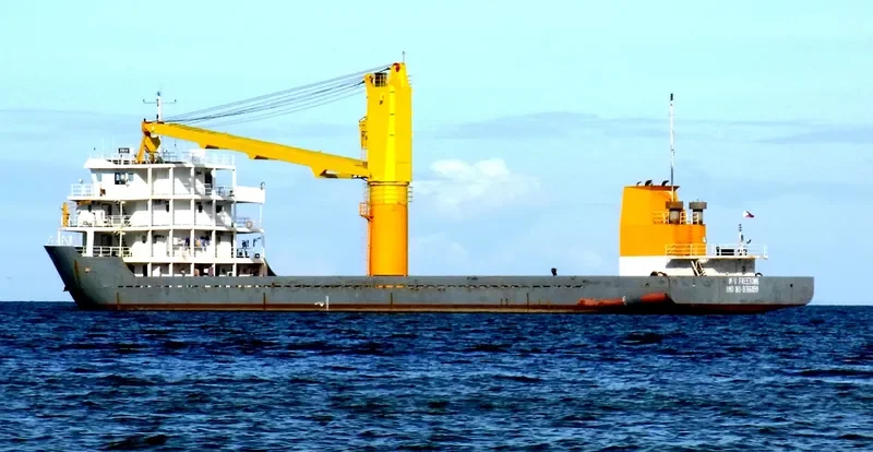 FREETOWN Container Ship IMO 9766499 photo 2