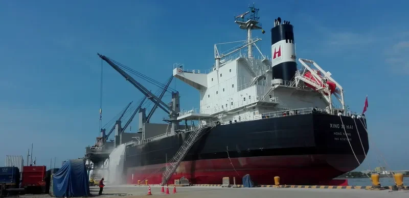 XING XI HAI Bulk Carrier IMO 9767065