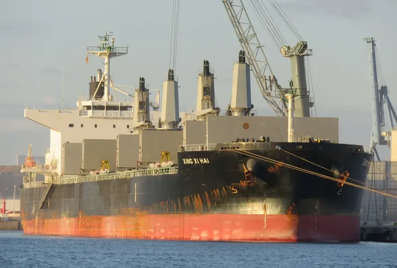 XING XI HAI Bulk Carrier IMO 9767065 photo 2