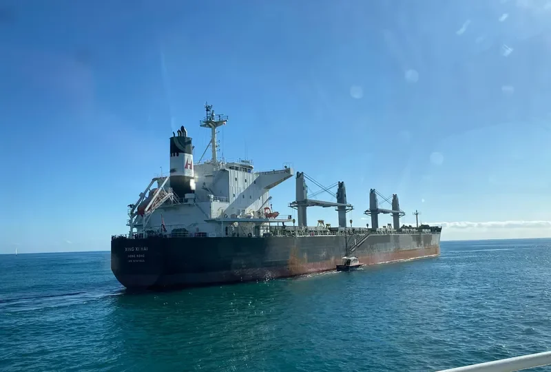 XING XI HAI Bulk Carrier IMO 9767065 photo 3
