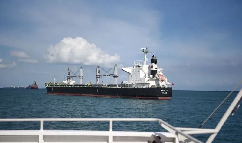 XING XI HAI Bulk Carrier IMO 9767065 photo 4