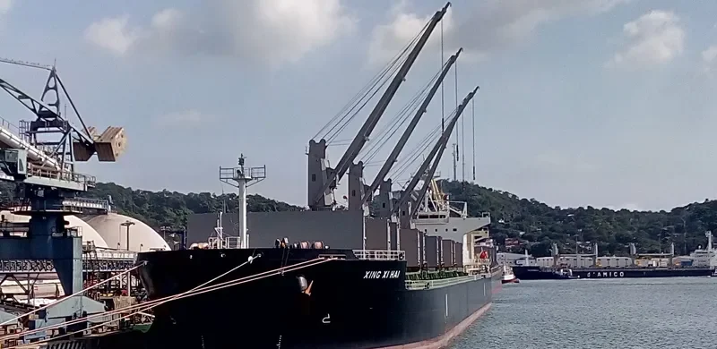 XING XI HAI Bulk Carrier IMO 9767065 photo 5