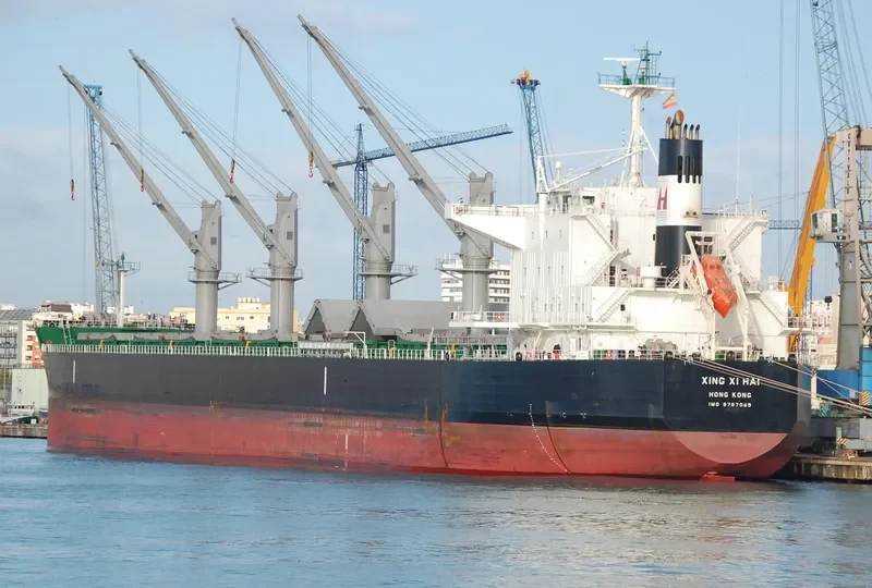 XING XI HAI Bulk Carrier IMO 9767065 photo 6