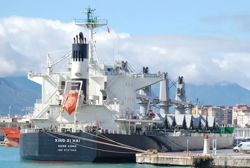 XING XI HAI Bulk Carrier IMO 9767065 photo 7