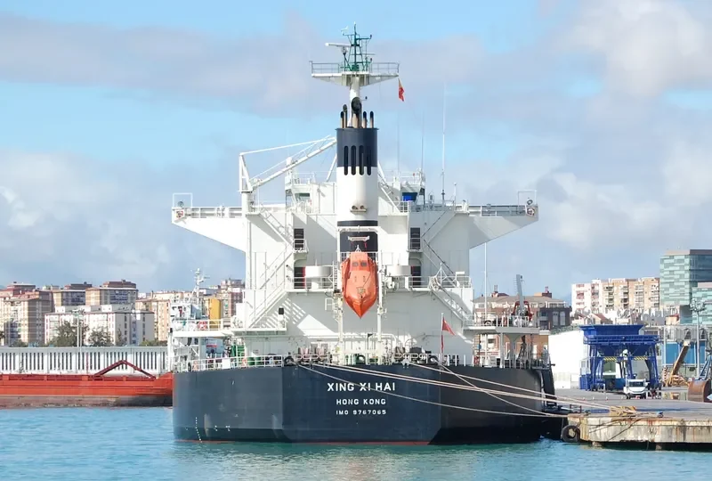 XING XI HAI Bulk Carrier IMO 9767065 photo 8