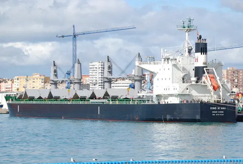 XING XI HAI Bulk Carrier IMO 9767065 photo 9