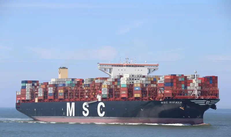 MSC RIFAYA Container Ship IMO 9767388