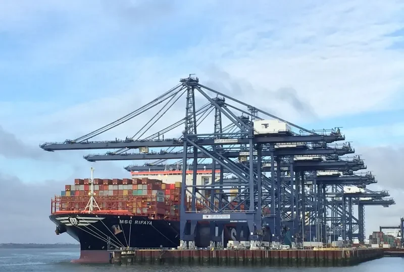 MSC RIFAYA Container Ship IMO 9767388 photo 3