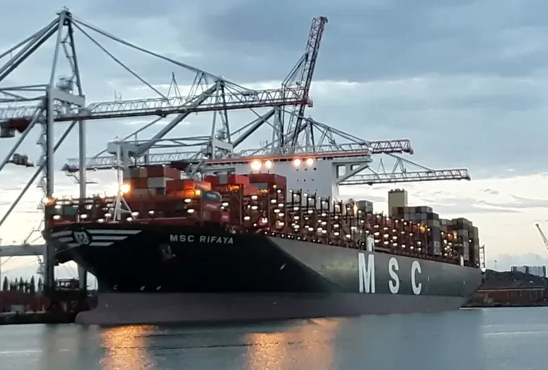 MSC RIFAYA Container Ship IMO 9767388 photo 7
