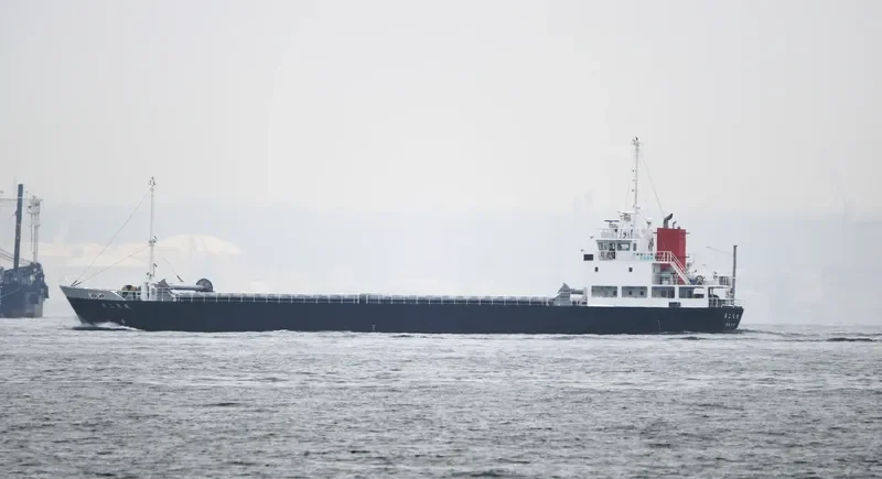 TENEI NO.2 General Cargo IMO 9767649 photo 9