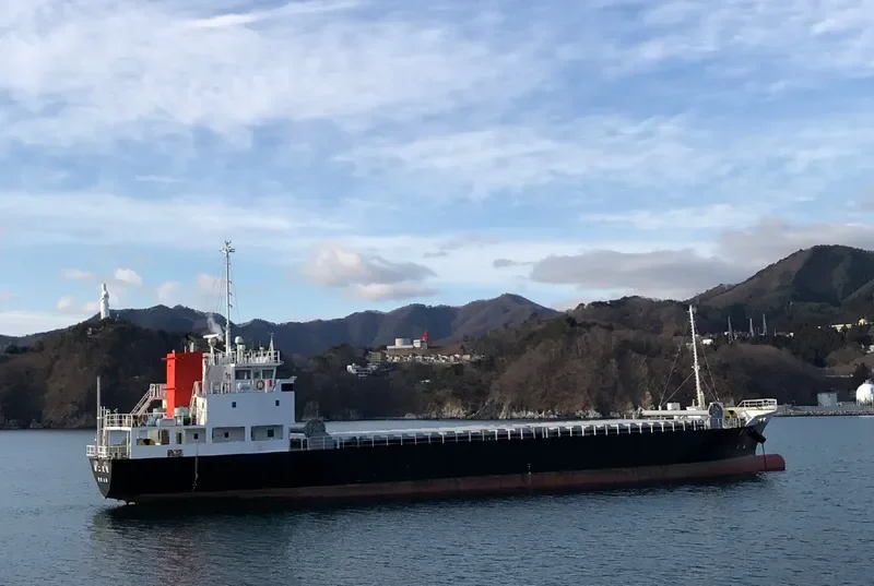 TENEI NO.2 General Cargo IMO 9767649 photo 10