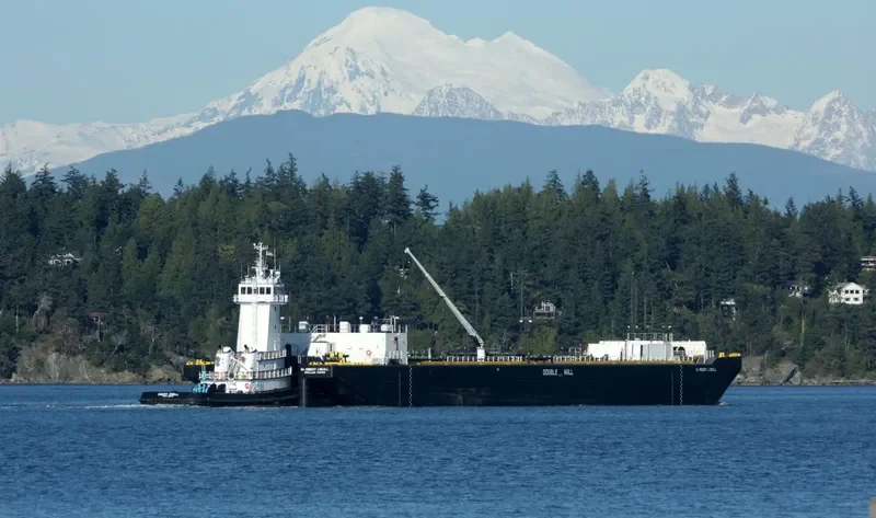 EMERY ZIDELL General Cargo IMO 9767924 photo 6