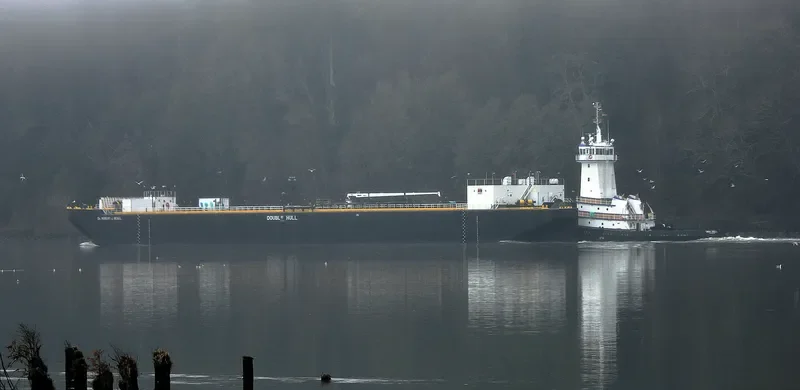 EMERY ZIDELL General Cargo IMO 9767924 photo 8