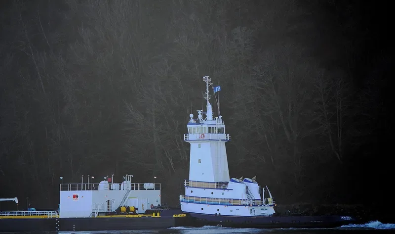 EMERY ZIDELL General Cargo IMO 9767924 photo 9