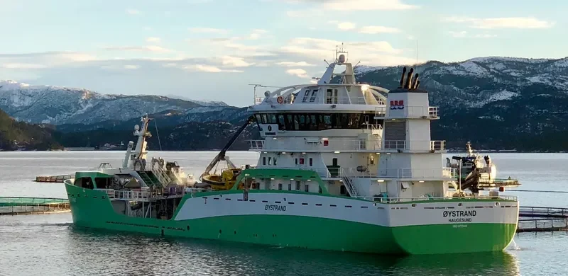 RONJA STRAND General Cargo IMO 9772448
