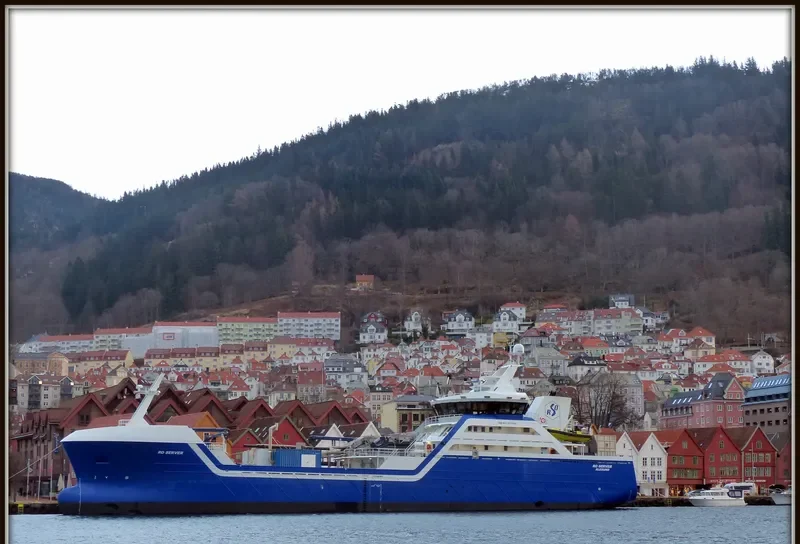 RO SERVER General Cargo IMO 9773260