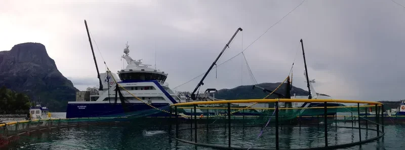 RO SERVER General Cargo IMO 9773260 photo 3