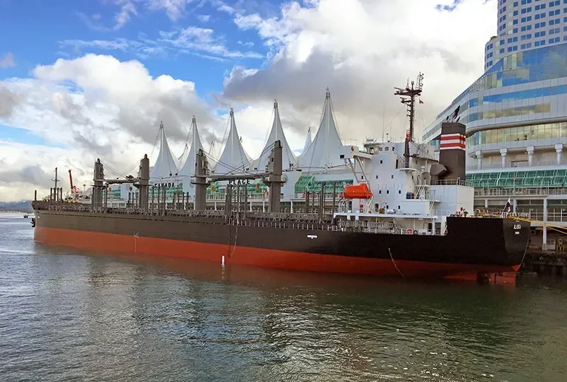 ALASKA Bulk Carrier IMO 9773480